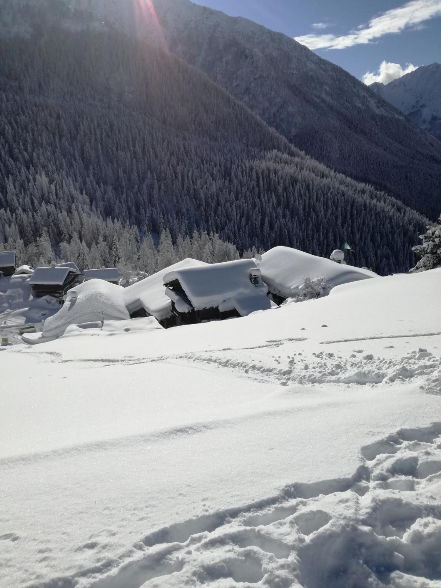 Rifugio Vieux Crest Hotel Champoluc Eksteriør billede